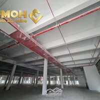 X729. Cho Thuê Kho Xưởng Tại Kcn Bắc Ninh Từ 4.000M2 Có Pccc Tự Động/Ready Built Factory For Lease