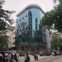 Bán Tòa Văn Phòng, Building Lô Góc - 293M2X8 Tầng Đệp Nhất Phố Cầu Giấy