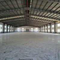 Cho Thuê 1850 M2 , 2500M2 , 5600M2 Xưởng Giá Rẻ Trong Kcn Thủ Dầu Một Bình Dương