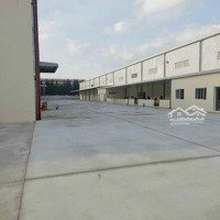 Cho Thuê 1850 M2 , 2500M2 , 5600M2 Xưởng Giá Rẻ Trong Kcn Thủ Dầu Một Bình Dương