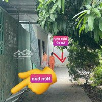 Sp Đất Nền Thô Cư Giá Rẻ View Sông Cách Cầu Cần Thơ Chỉ 500Mgiá Chỉ