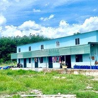 Tôi Bán 3 Sổ 2,2Sào (45X49=2.005M2) Thổ Cư, Chợ T N Hưng, Đường 24M Gần Kề Nhiều Kcn, 360 Triệu Bao Sổ