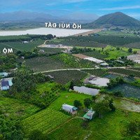 Bán 8 Sào Nhà Vườn Gần Biển Xã Tân Tiến, Thị Xã Lagi View Hồ Núi Đất, Cây Ăn Trái Đang Thu Hoạch..