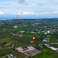 Bán 8 Sào Nhà Vườn Gần Biển Xã Tân Tiến, Thị Xã Lagi View Hồ Núi Đất, Cây Ăn Trái Đang Thu Hoạch..