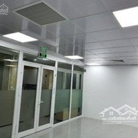 Cho Thuê Vp Phố Đại Cồ Việt,Dtsd 90M2,Hai Bà Trưng,Hn