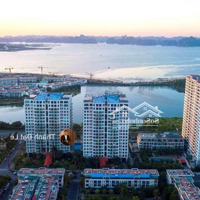 Do Chuyển Định Cư Không Sử Dụng Nên Cần Bán Căn Penthouse 205M2 Trung Tâm Bãi Cháy, Hạ Long