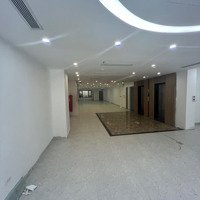 Cho Thuê Mặt Bằng Phố Huế - 250M2 - Mặt Tiền 15M - Hầm Để Xe Ô Tô - Giá Bán 200 Triệu/ Tháng