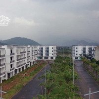 Bán Đất Golden Hills City, Giá Chỉ Hơn 1,350 Tỷ/125M2, Đường 7,5M Lề 4M