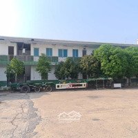 Cho Thuê 2400M2 - 126 Triệu Mb Trường Học Mầm Non Quận 12