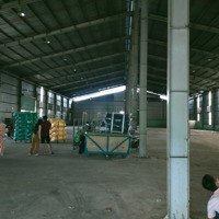 Cho Thuê Xưởng Giá Rẻdiện Tích1500M2 Đức Hòa, Long An