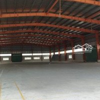 Cho Thuê Nhà Xưởng 11.000M2 Trong Kcn Tại Huyện Bến Lức, Long An.