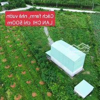 Đất Giá Rẻ Dân Bán, Chỉ 350 Triệu / 5000M2 Qh Cây Lâu Năm, Tại Khánh Hiệp, Kv. Liên Hệ: 0333039068 Zalo