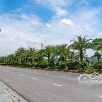 Cần Bán Liền Lô Đất Liền Kề Khu Vườn Hồng Dự Án Từ Sơn Garden City Đối Diện Khu Biệt Thự