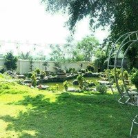 Mua Đất Tặng Kèm Homestay Tại Vân Hòa, Ba Vì, Hà Nội