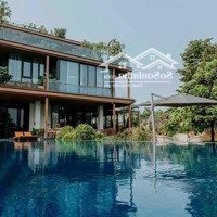 Cho Thuê Villa Top 10 Thảo Điền Hồ Bơi - Sân Vườn 650M2 - 130 Triệu/Th