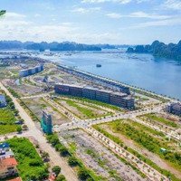 Bán Đất Nền Suất Ngoại Giao, 1 Lô Duy Nhất 114M2 Giá Tốt, View Biển, Đường To 36M Mua Vào Lãi Ngay