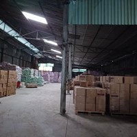 Cho Thuê Xưởng Mặt Tiền Tân Thới Nhất 1B. 25X40M (1000M2). Phường Tân Thới Nhất. Quận 12