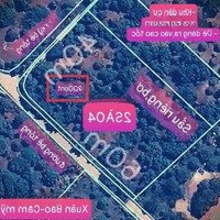 Xuân Bảo Lô Góc 2 Mặt Tiền Bê Tông, 300M2 Thổ Cư. Vườn Trái Cây