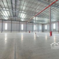 Cho Thuê Nhà Xưởng Xây Sẵn Chính Chủ Tại Kcn Phú An Thạnh, Diện Tích Từ 2.800 - 5.100M2