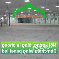 Cho Thuê Kho Xưởng 2500M2 Sạch Đẹp Tại Đường Trịnh Như Khuê,Bình Chánh