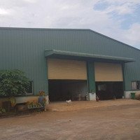 Nhà Xưởng Cho Thuê Đường Phan Văn Hớn Quận 12 Diện Tích: 2500M2 Giá 120 Triêu/Tháng Liên Hệ: 0908561228