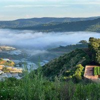 Bán Gấp Lô Đất Săn Mây View Lã Chã Thuận Tiện Nghĩ Dưỡng Cạnh Chuyện Của Nắng Đà Lạt