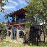 Villa Nhỏ Xinh - Triệu Việt Vương, P4, Đà Lạt View Đẹp - Yên Tĩnh Thích Hợp An Cư/ Nghỉ Dưỡng