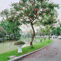 Cho Thuê Biệt Thự Song Lập Hoa Phượng Riverside View Sông Trước Nhà Giá 40 Triệu/Tháng, Đủ Đồ