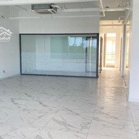 Cho Thuê Sala Nguyễn Cơ Thạch, 14.2M X 24M, 1.400M2, Vị Trí Đẹp, Hoàn Thiện Đầy Đủ.