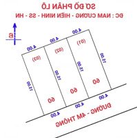 Bán Gấp 60M2 Tại Nam Cương - Hiền Ninh - Sóc Sơn. Đường Thông,Oto Vào Đất