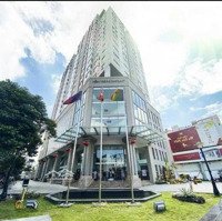 Cho Thuê Penhouse Bảy Hiền Tower,Diện Tích240M2, 4Pn/ 4 Vệ Sinh Nt Cơ Bản, Giá 35 Triệu/Th