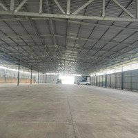 Cho Thuê Kho Xưởng Phường Phú Hữu, Quận 9, 1700M2/ 80 Triệu/ Tháng