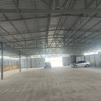 Cho Thuê Kho Xưởng Phường Phú Hữu, Quận 9, 1700M2/ 80 Triệu/ Tháng