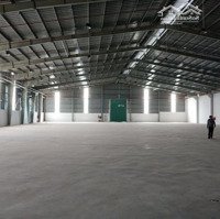 Cho Thuê Kho 3000M2 Đến 20.000M2 Tại Gò Vấp.