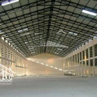 Cho Thuê Kho 3000M2 Đến 20.000M2 Tại Gò Vấp.