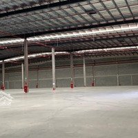 Cho Thuê Kho 3000M2 Đến 20.000M2 Tại Gò Vấp.