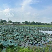 Bán Nhanh 100M2 View Hồ Sen Lotus Linh Sơn