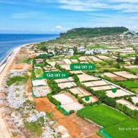 Đất View Biển Lý Sơn Cao Thoáng View Đẹp, Sạch Kinh Doanh Lý Tưởng