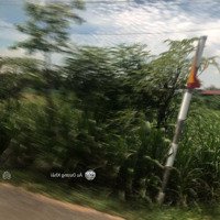 Nhanh Tay Sở Hưu Đất Ngay ,Phường Phú Khương, Thành Phố Bến Tre, Diện Tích: 200M2/ 550 Triệu,Shr