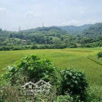 Chủ Gửi Bán 510M2 View Cao Thoáng, Ngắm Núi, Nhìn Ruộng Bậc Thang, Bám Bê Tông 25M Tt Lương Sơn