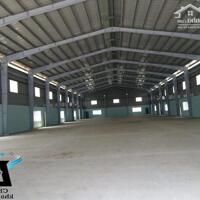 CHO THUÊ KHO DT TỪ 200M2 ĐẾN 1000M2 KHU VỰC ĐÀ NẴNG - GIÁ TỐT