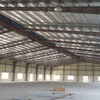 Cho Thuê Kho Xưởng 1000 - 4600M2 Trong Kcn Nhơn Trạch, Huyện Nhơn Trạch, Tỉnh Đồng Nai