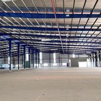 Cho Thuê Kho Xưởng 12.000M2 Làm May Mặc, Giày Da, In Thêu, Nội Thất Tại Kcn Đồng Tháp