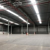 Cho Thuê Kho Xưởng 22.000M2 Làm May Mặc, Giày Da, In Thêu, Nội Thất... Tại Kcn Cần Thơ