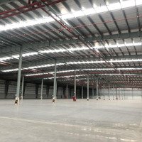 Cho Thuê Kho Xưởng 22.000M2 Làm May Mặc, Giày Da, In Thêu, Nội Thất... Tại Kcn Cần Thơ