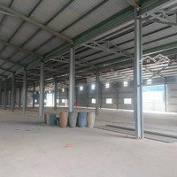 Xưởng Cụm Gốm Sứ Tân Hạnh, Khuôn Viên 5000M2, Xưởng 4000M2, Giá 150 Triệu/Tháng