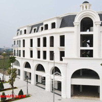 Shophouse Cao Cấp Phân Khu Thịnh Phượng