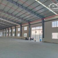 CHO THUÊ KHO 20.000m2 CỰC ĐẸP TẠI KCN THUỘC LONG THÀNH ĐỒNG NAI