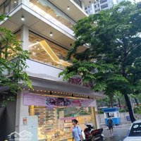 Cho Thuê Nhà Cát Linh Đống Đa Hà Nội Kinh Doanh Mọi Mô Hình: 130M2X5 Tầng