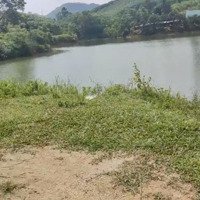 Cấn Bán Lô Đất Viu Hồ Full Đất Cây Lâu Năm Gần Ủy Ban Xã, Cần Đường Nhựa Tại Tân Sơn Phú Thọ